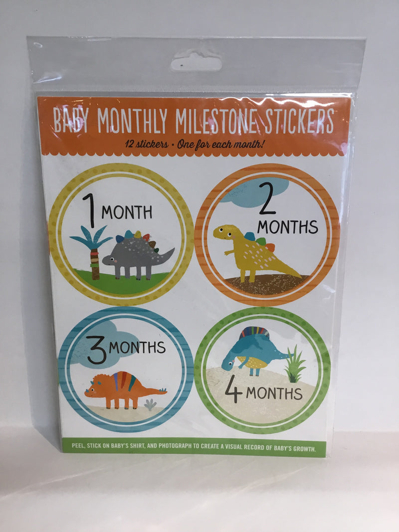 Baby Monthly Milestone Stickers