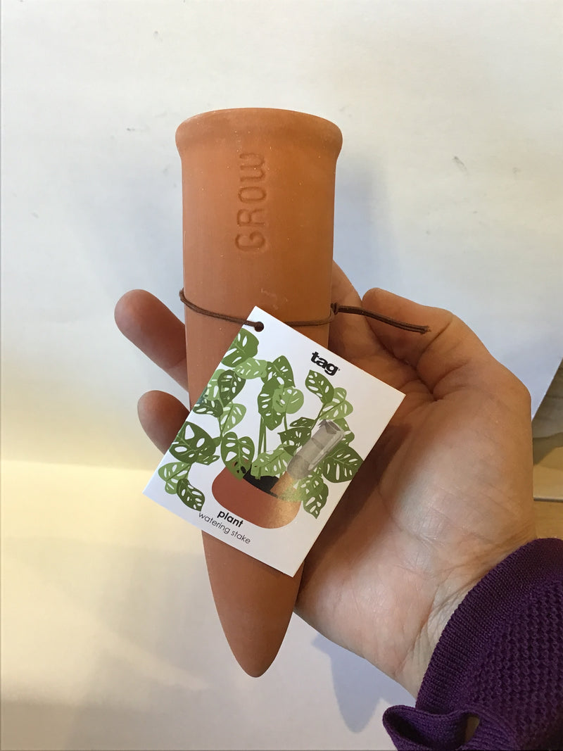 Watering Stake Terra Cotta