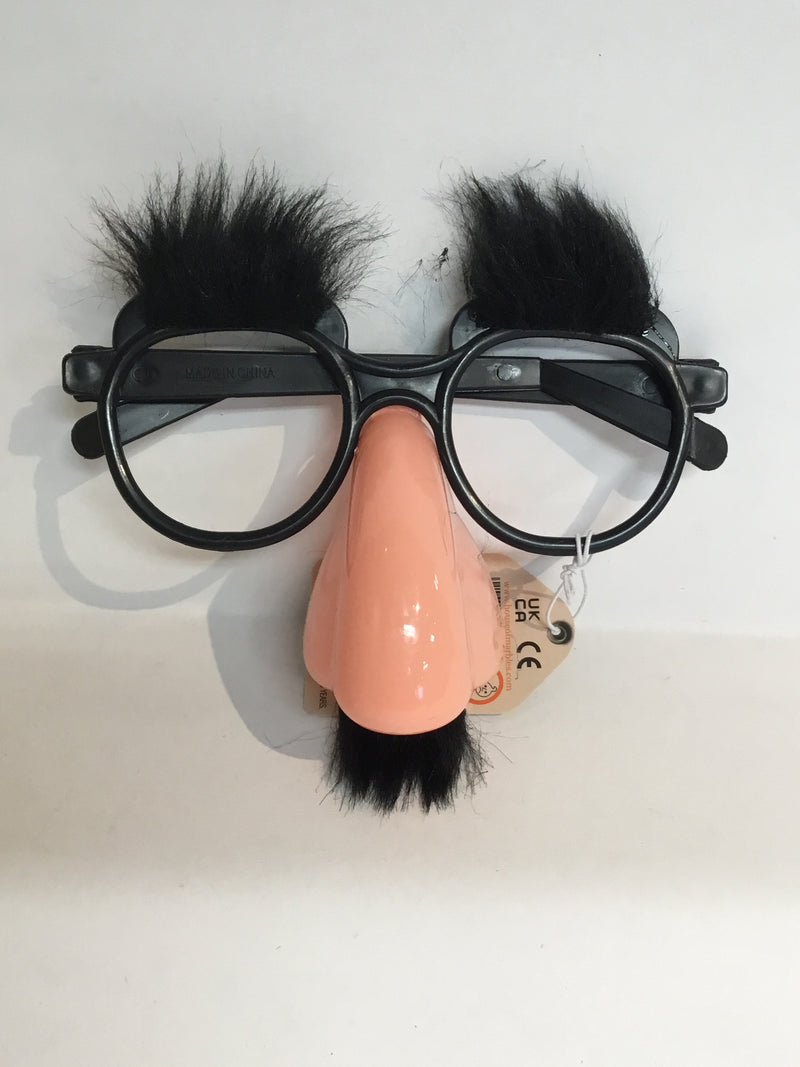 Amusing Disguise Spectacles
