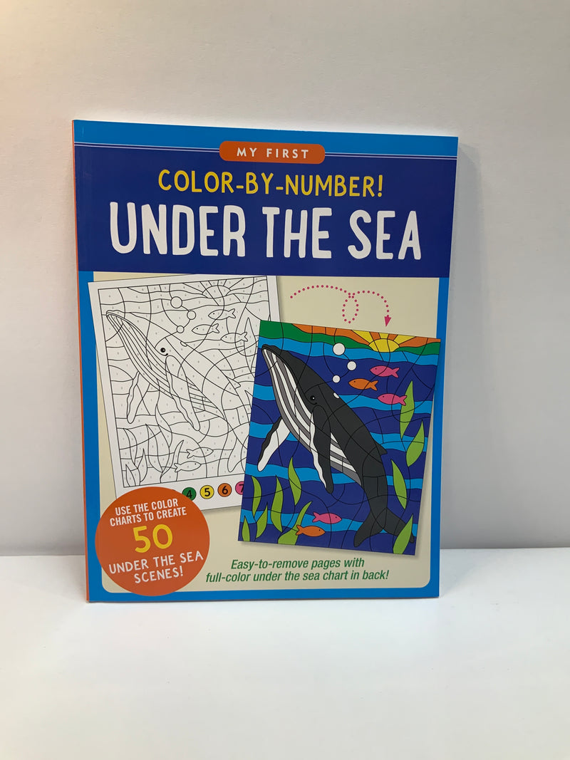 Colour By Number Book