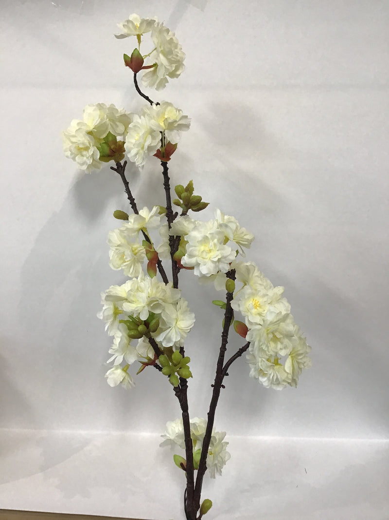 Cherry Blossom Branch
