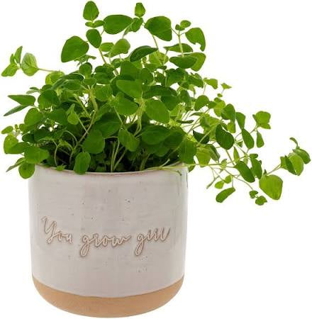 You Grow Girl Planter