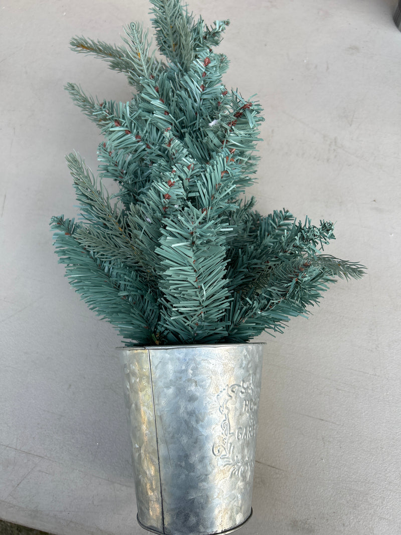 Christmas Tree in Tin Pot
