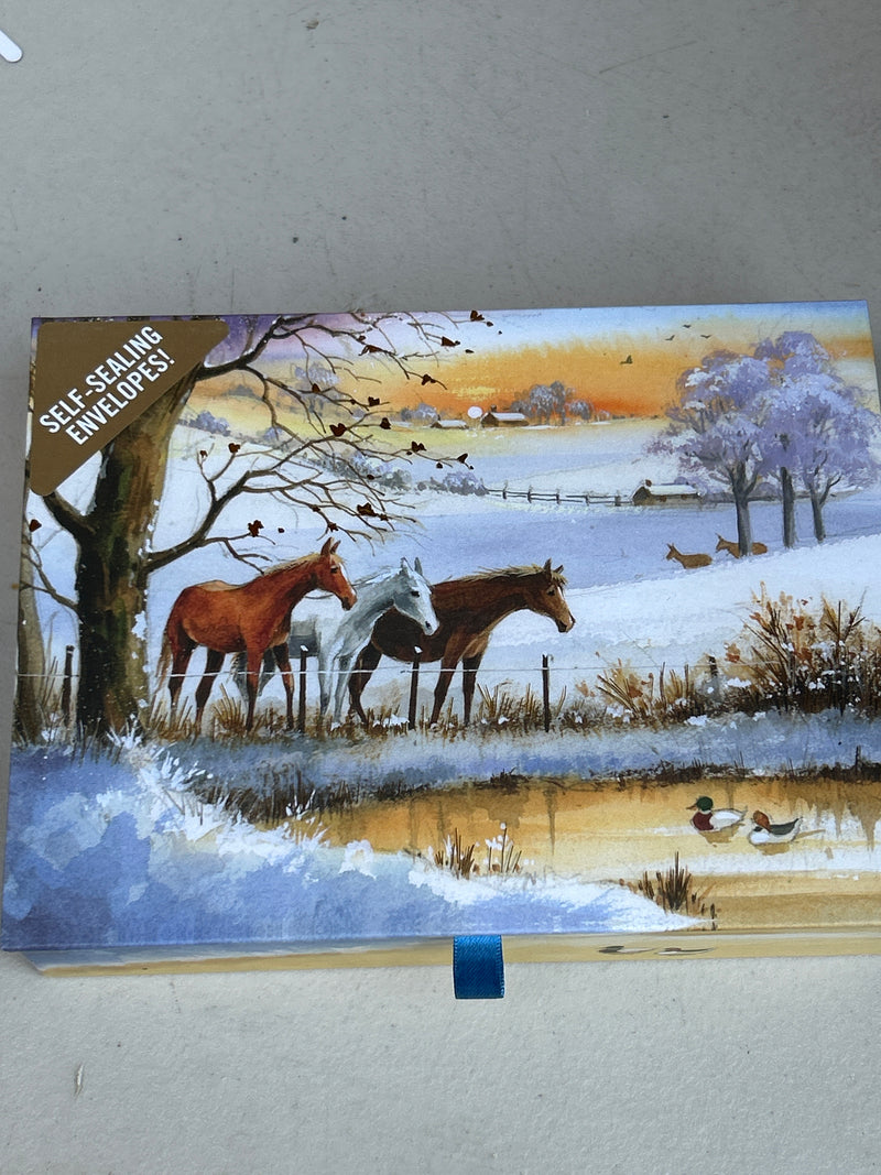 Boxed Christmas Cards Large