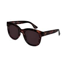 Women’s Wollumbin Sunglasses